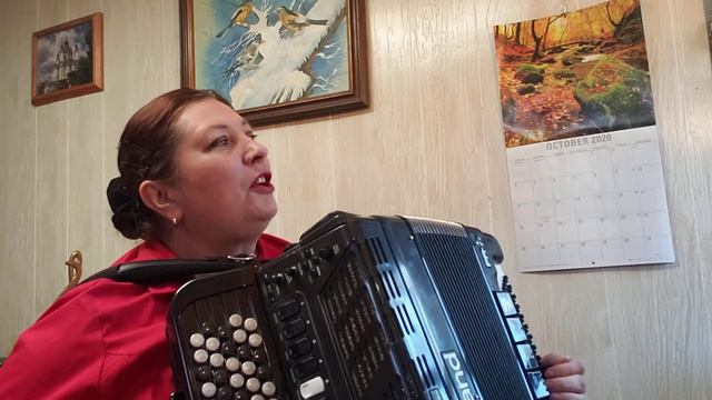 Дякую тобі мамо Ukrainian wedding song accordion смотреть онлайн