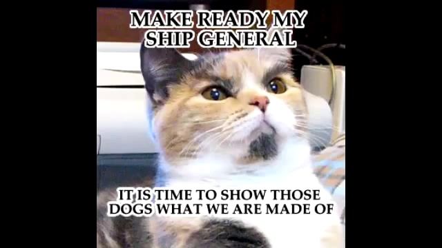 Обзор ошибок и багов в игре Bioshock 2 смотреть онлайн