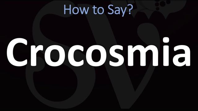 How To Pronounce Crocosmia? (CORRECTLY)