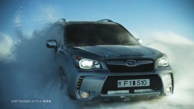 FORESTER VS SNOW