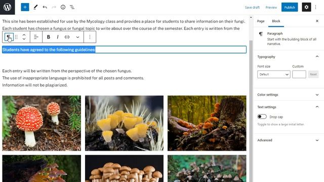 How to use the Block Editor смотреть онлайн