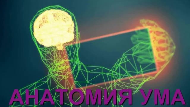 АНАТОМИЯ УМА 2.Глава из книги Люка Рейнхарда ТРАНСФОРМАЦИЯ. смотреть онлайн