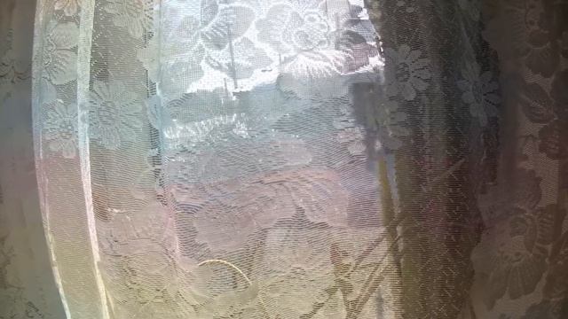 Полиция всех предупреждает, почти ни кто не носит маски. Протухли яйца. Дураки активировались. смотреть онлайн