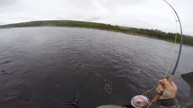 Кумжа на нахлыст 5 августа 2017г река Териберка... смотреть онлайн