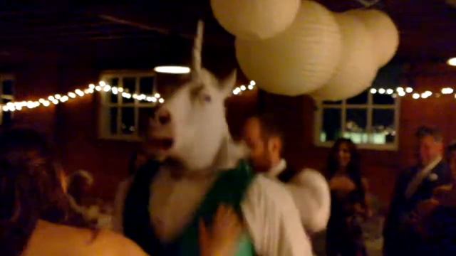 CT DJ Kurt Entertainment - Crawford/Moore Wedding- Horsin' around with BM Wade Mariano смотреть онлайн