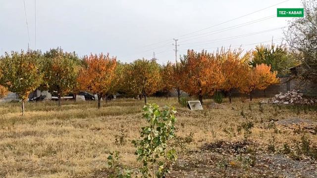 Мощный! БАК сатылат ~ Жери 14 соток смотреть онлайн