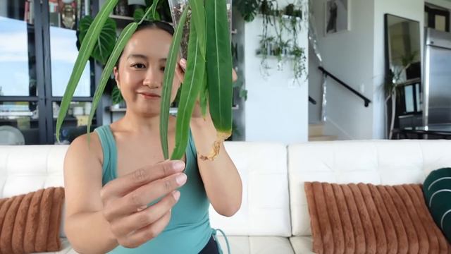 starting august with a few plant updates! смотреть онлайн