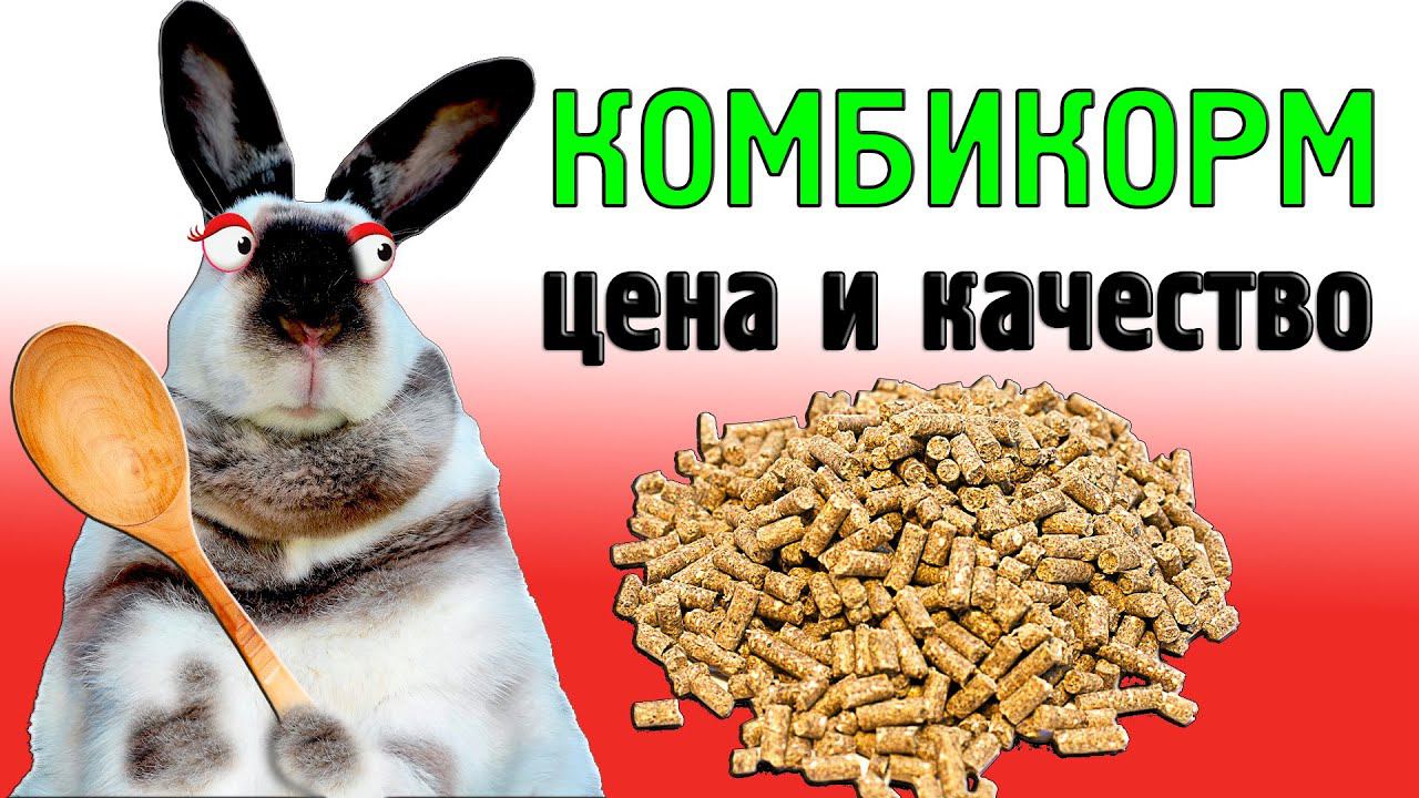 КОМБИКОРМ! Цена и качество смотреть онлайн