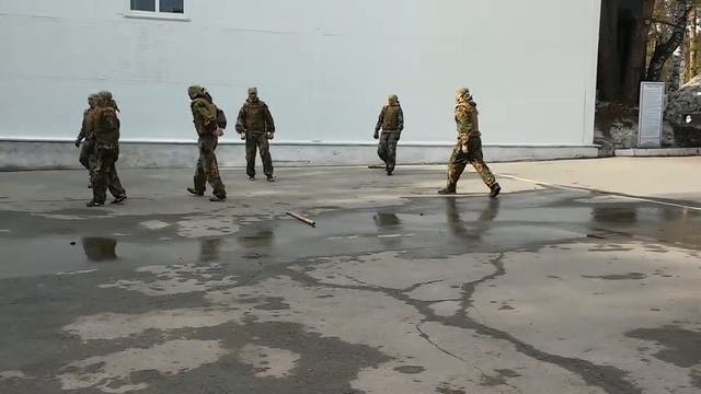 Витязь НСК показательные выступления смотреть онлайн