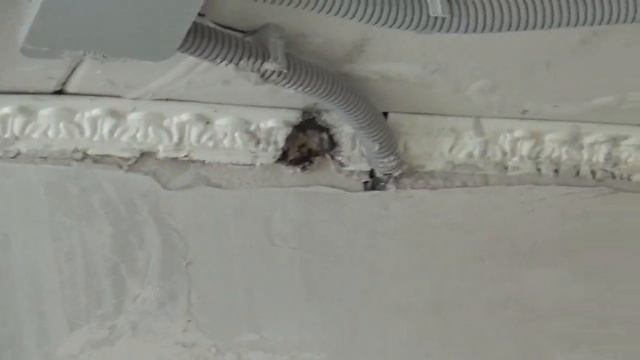 штукатурить ли стены до потолка смотреть онлайн