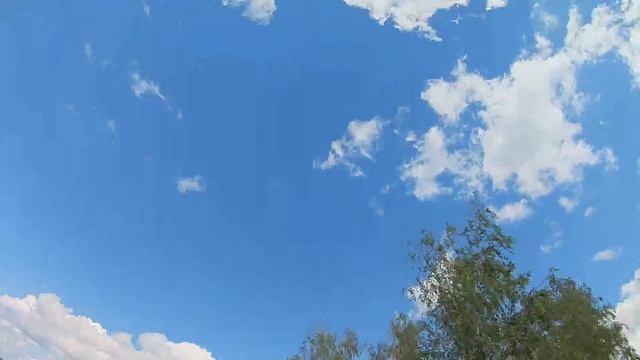 Видео тур по новой заброшке (Ветлужанка) смотреть онлайн