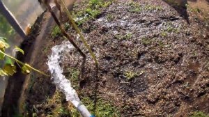 Мощный Дренажно фекальный Насос для выгребной ямы канализации и туалета Обзор Работа Тест 400 л/мин