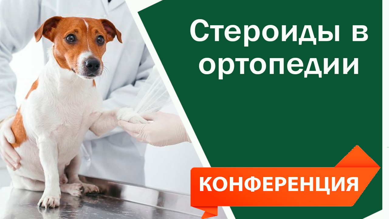 Стероиды в ортопедии