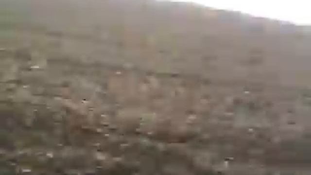 Belarus 1221.2 & Lemken Karat 9