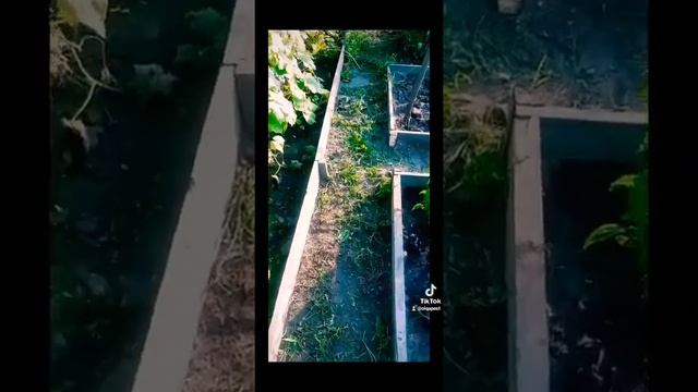 Избавилась от травы между грядок смотреть онлайн
