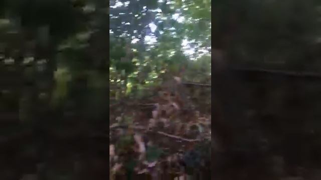 Остров на реке Клязьме смотреть онлайн
