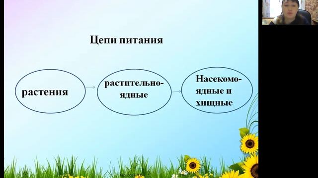 окружающий мир Кто что ест 3 класс Тарасова Л В смотреть онлайн