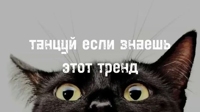 Танцуй если знаешь этот тренд 2023 | Лучшие Тренды ТикТока ? смотреть онлайн