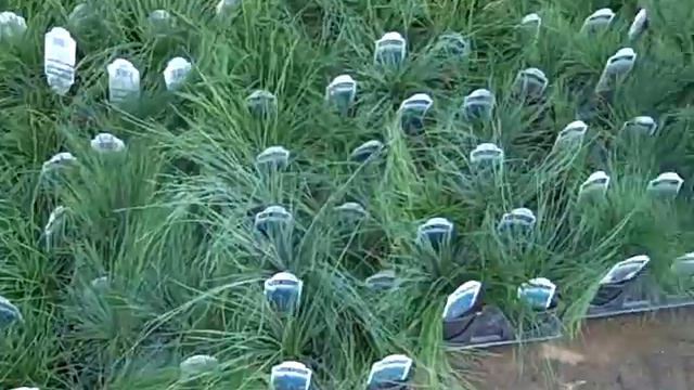 update 0306 смотреть онлайн