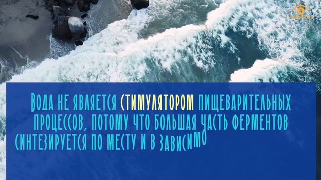 Вопросы и мнения