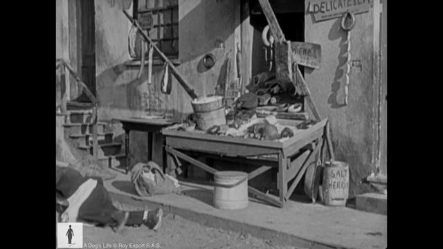 Charlie Chaplin saves Scraps from a wild pack of dogs - From "A Dog's Life" смотреть онлайн