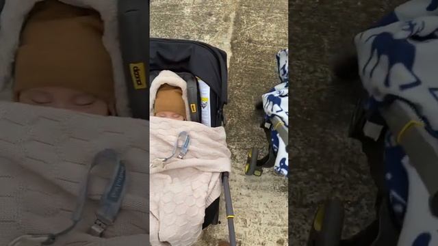 Налаживаем быт с шестью детьми!