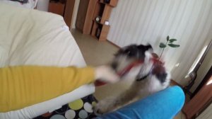 КАК МЫ СЛОМАЛИ ЛИФТ [CAMvsMAN]