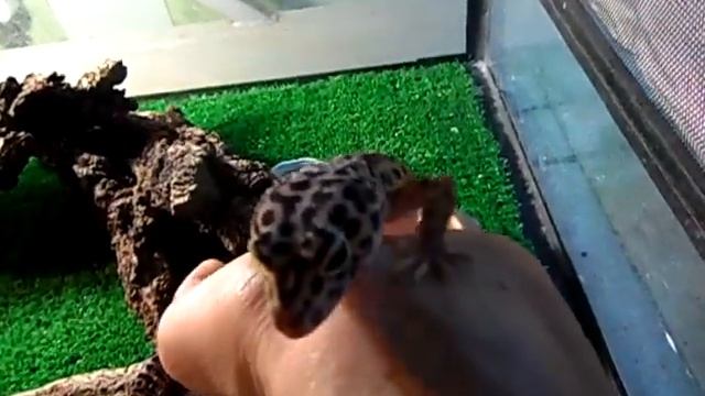 Эу захотелось  пообщаться