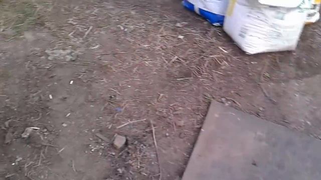 Первый выезд на рынок? ассортимент.. смотреть онлайн