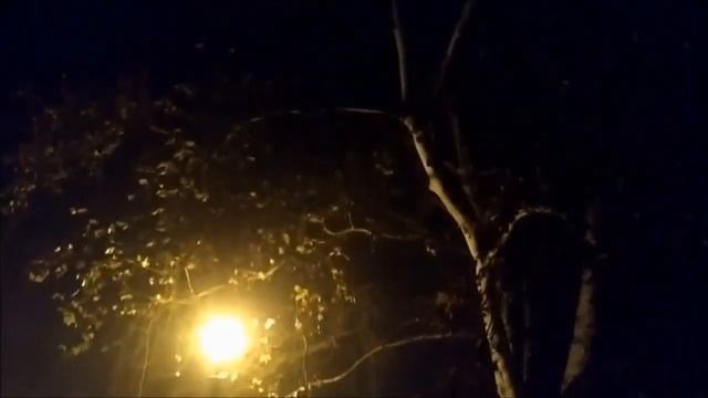 Осенний вечер - красивые стихи,музыка и природа... смотреть онлайн