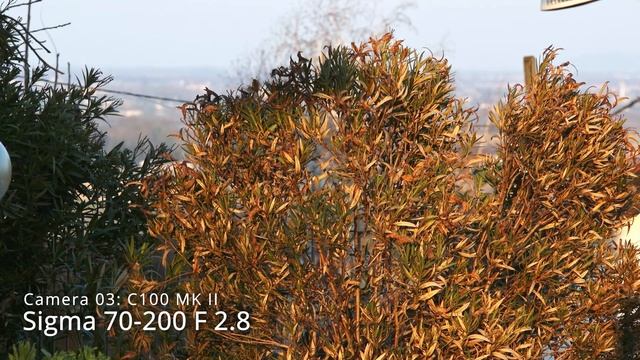 My cinematic lens-kit for Canon C100 MK II смотреть онлайн