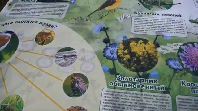 Экскурсия по экотропе "Каменная горка" смотреть онлайн