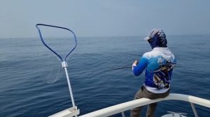 Рыбалка на треску во Владивостоке, банка зубра. #БлогВлдивосток