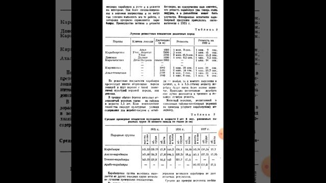 Карачаевская порода лошадей в документах!!! смотреть онлайн