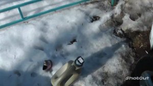 Причина поломки дворников на примере Опель астра