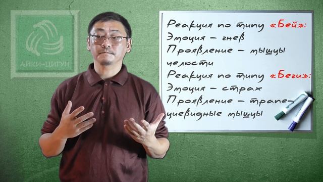 Как выявить стресс и как от него избавиться № 3: Опасности психологического стресса смотреть онлайн