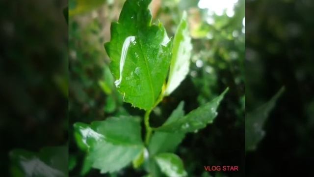 Hasil foto kamera sony dsc-w320 смотреть онлайн