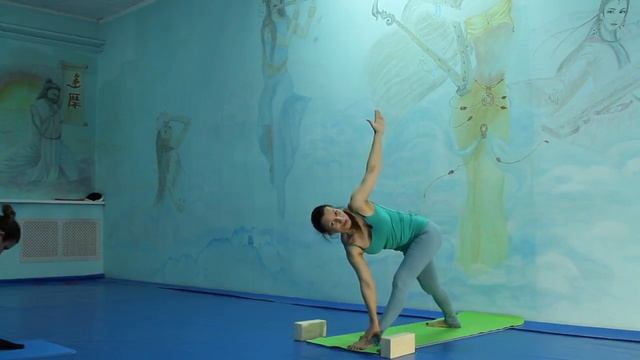 Видео урок хатха йоги с Элен Саркеевой Elen Santi