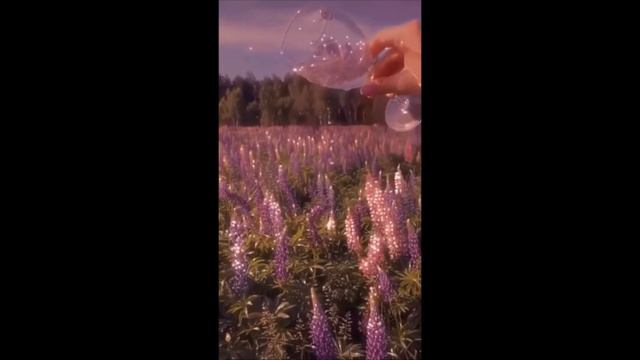 Aesthetic Clip For Editing ~~ Lavender And Water Glass 🌸💦🍷