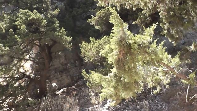 Imbros Schlucht, T19, 01 08 2012 / Ущелье Имброс. Греция, остров Крит смотреть онлайн