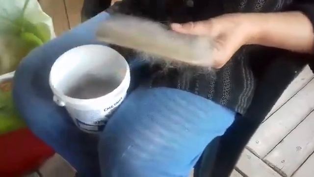Подготовка собачьего пуха к прядению (прочесывание пуха на ческах) смотреть онлайн