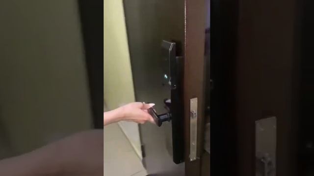 Электронные замки от компании Deluns