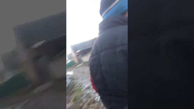 Пол это лава 1 часть