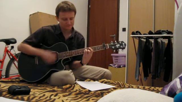 Human - The Killers (cover) смотреть онлайн
