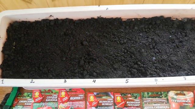 ПОСАДКА ТОМАТОВ ДЛЯ ОТКРЫТОГО ГРУНТА. смотреть онлайн