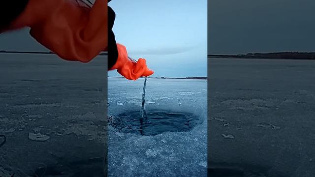 Ловля карпа зимой смотреть онлайн