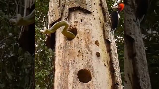 Салаты с Кардамоном