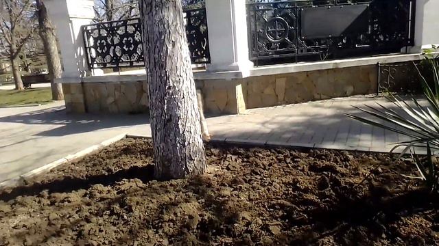 Бельченок у Владимирского Собора.Севастополь. 28.03.22. смотреть онлайн