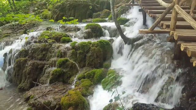 Plitvice Lakes National Park Tour In  Croatia