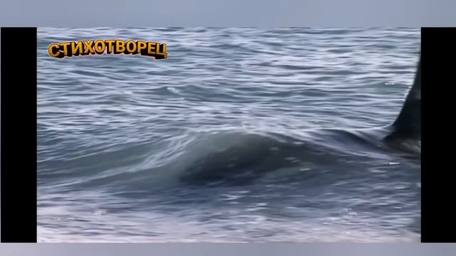 Стих. Вы видели как умирают киты? Трогает до слез. смотреть онлайн